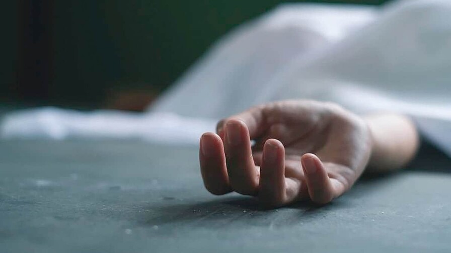 “No fue un perro que mataron”: parientes de menor fallecida en Conani exigen respuesta