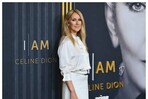 Identifican posible tratamiento para la enfermedad que padece Céline Dion Identifican posible tratamiento para la enfermedad que padece Céline Dion