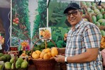 Más de 300 tipos de mangos criollos son presentados en la feria Baní Más de 300 tipos de mangos criollos son presentados en la feria Baní