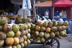Las Bahamas se perfila como mercado clave para la expansión del coco dominicano