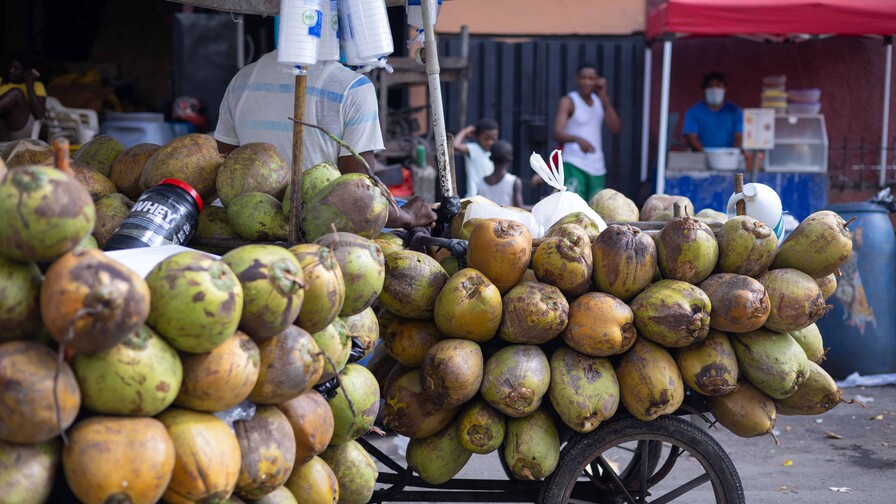 Las Bahamas se perfila como mercado clave para la expansión del coco dominicano