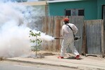 Salud Pública reporta baja en dengue y malaria, pero aumento de casos de leptospirosis
