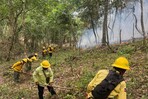 Reportan incendio forestal en Sierra de Bahoruco