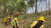 Reportan incendio forestal en Sierra de Bahoruco
