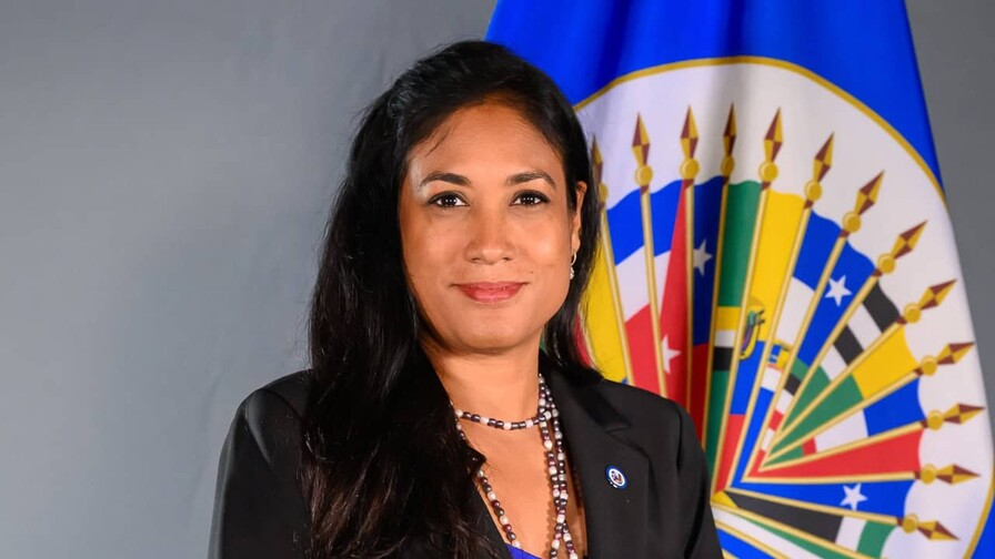 Jefa de gabinete del secretario general de la OEA deja cargo en medio de acusaciones de corrupción Jefa de gabinete del secretario general de la OEA deja cargo en medio de acusaciones de corrupción