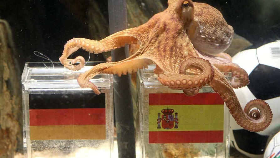 Del pulpo Paul a la Inteligencia Artificial: los chatbots revelan sus favoritos para el Mundial 2026 Del pulpo Paul a la Inteligencia Artificial: los chatbots revelan sus favoritos para el Mundial 2026