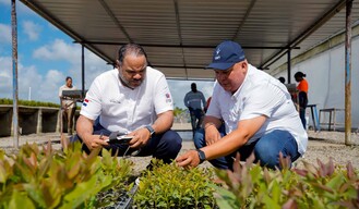 El bosque que produce energía