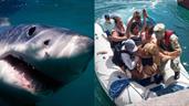 Un tiburón ataca a una turista australiana en una pierna en las islas Galápagos de Ecuador