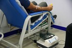 Testigos de Jehová podrán donar y recibir componentes de la sangre por decisión personal Testigos de Jehová podrán donar y recibir componentes de la sangre por decisión personal