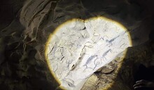 Ley obligaría a destinar fondos públicos para proteger y promover Cuevas del Pomier