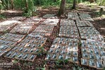 El Ejército de Nicaragua incauta 475 paquetes de cocaína cerca de frontera con Costa Rica