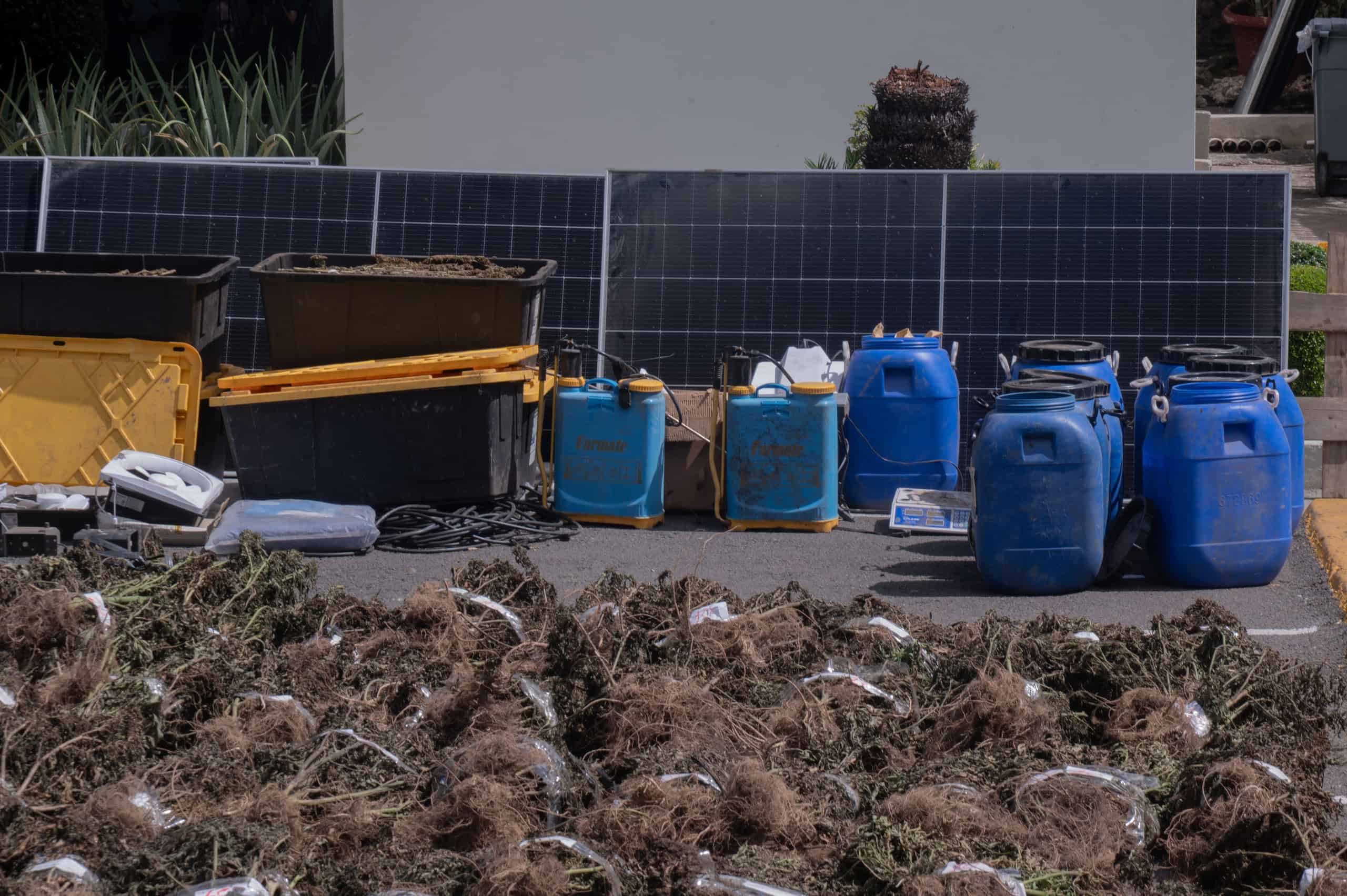 Dentro del&nbsp;centro de acopio que desmantelaron, se ocuparon 17 garrafones y varias cajas con marihuana, así como trituradoras, tanques, fertilizantes, paneles solares, una prensa hidráulica, balanzas, bombas de fumigación y otros equipos utilizados por la estructura criminal.