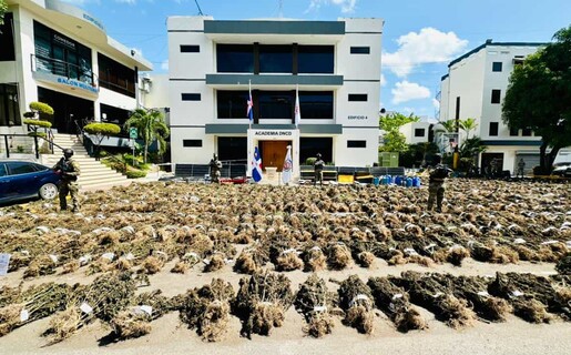 Siembra de marihuana desmantelada en Ocoa pesó más de 13,800 libras, según la DNCD