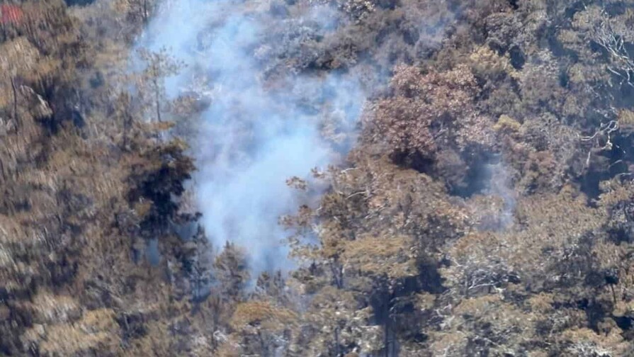 Incendio en Sierra de Bahoruco afecta más de 1,200 hectáreas
