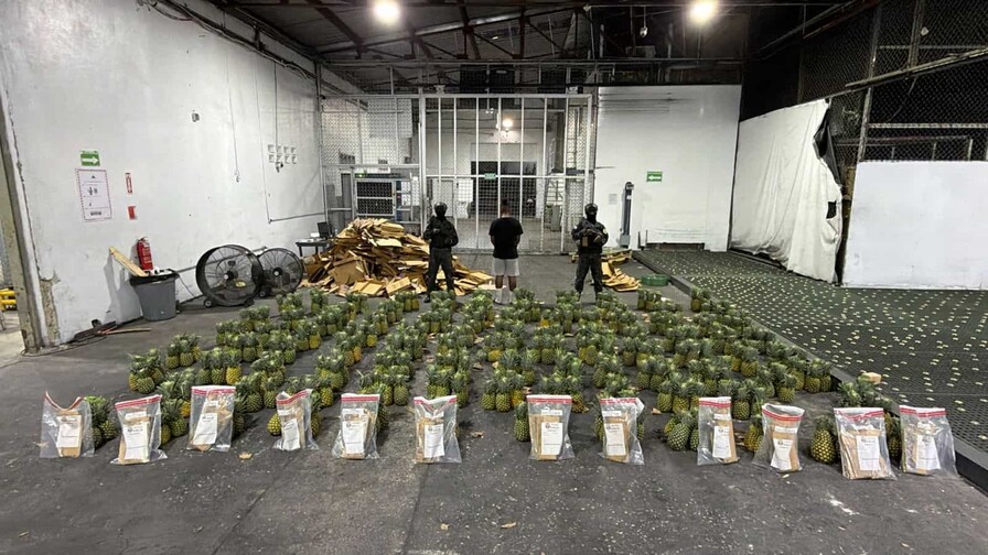 Cocaína camuflada en piñas: el decomiso alcanzó casi 32 kilos
