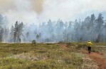 Extinguen incendio forestal en la Sierra de Bahoruco Extinguen incendio forestal en la Sierra de Bahoruco