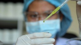 Aclaran un misterio de décadas sobre cómo los parásitos de la malaria invaden las células