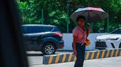 Pronostican cielo soleado y temperaturas de hasta 35 °C este viernes