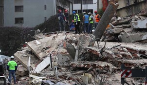 Los refugios de animales, desbordados tras el doble terremoto en Venezuela