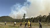 Nuevo incendio afecta a la Sierra de Bahoruco