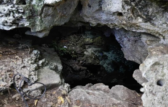 Autoridades afirman que actor Stuart Ortiz murió ahogado en cueva donde está prohibido bañarse