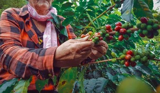 Elías Piña: la frontera también puede producir futuro