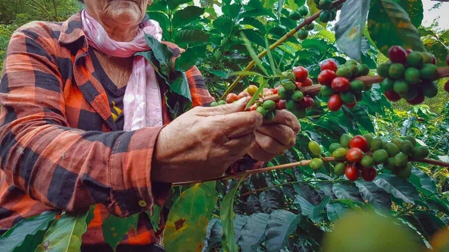 Elías Piña: la frontera también puede producir futuro Elías Piña: la frontera también puede producir futuro
