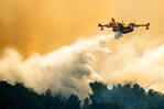 Incendio forestal en Colorado obliga a miles a evacuar; más de 160 estructuras fueron destruidas Incendio forestal en Colorado obliga a miles a evacuar; más de 160 estructuras fueron destruidas