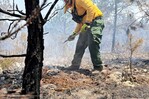 Casi el 8 % del Parque Nacional Sierra de Bahoruco fue impactado por incendios en apenas dos semanas