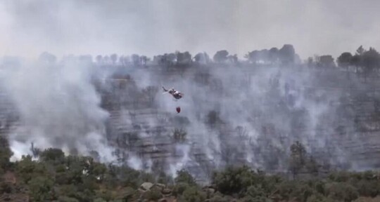 Europa arde: altas temperaturas intensifican los incendios forestales en Francia y España