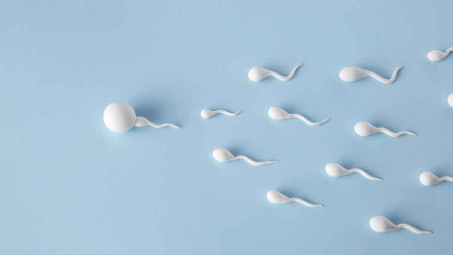 Los factores ambientales son determinantes en la calidad del semen