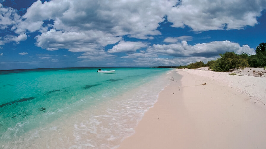 Advierten que el sargazo añade presión a la arena de playas de RD