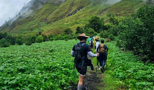 Guayabal-Constanza: una ruta de aguas termales, amor al medio ambiente y de ayuno tecnológico