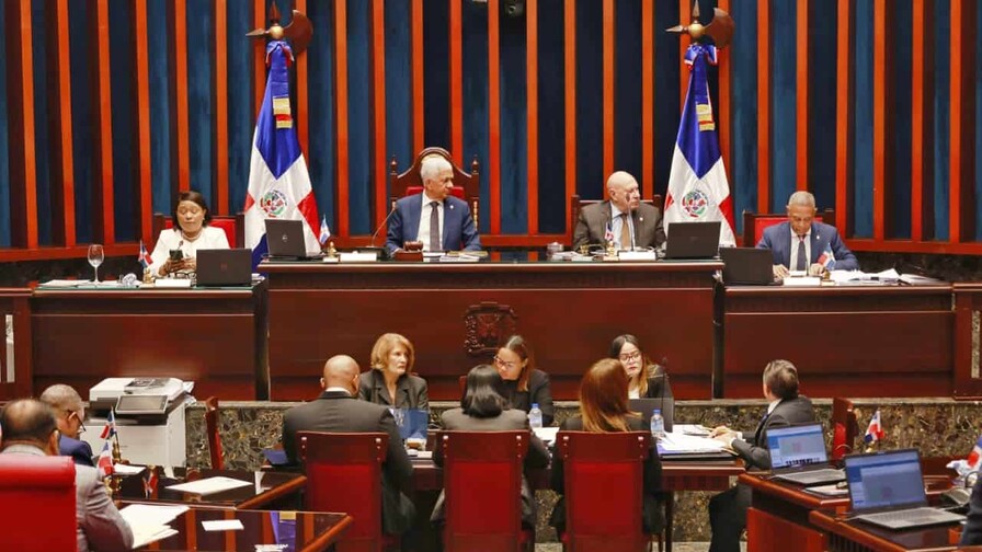 Senado aprueba en primera lectura  y con modificaciones el proyecto de ley de reforma policial