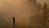 Al menos 12 muertos en incendio forestal en el sur de España