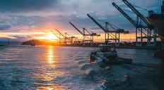 AIE: la oferta global de petróleo superará la demanda a fin de año si no vuelve la guerra