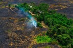 El Niño plantea un riesgo menos visible pero devastador en Amazonía peruana, según estudio