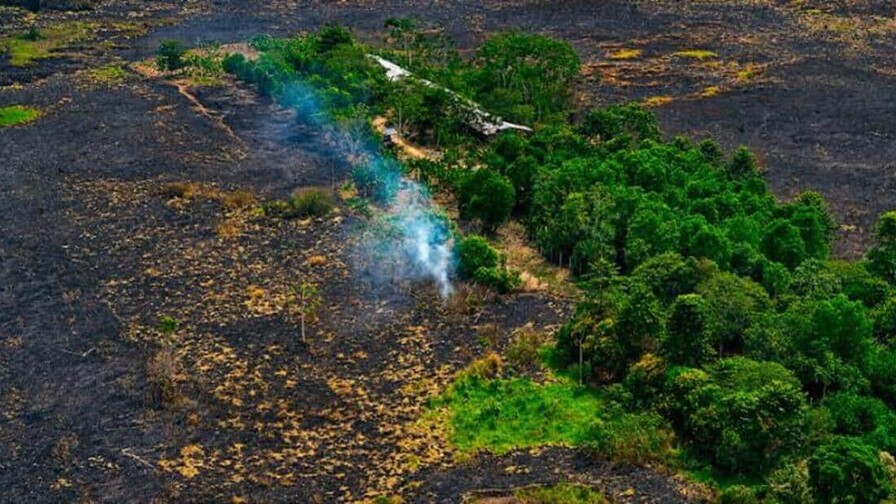 El Niño plantea un riesgo menos visible pero devastador en Amazonía peruana, según estudio