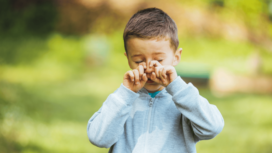 Polvo del Sahara incrementa las alergias oculares en niños, advierte una experta Polvo del Sahara incrementa las alergias oculares en niños, advierte una experta