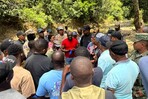Autoridades haitianas devuelven 13 reses robadas a ganadero dominicano en Dajabón
