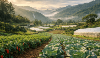 Ocoa, jardín de vegetales, no del narcotráfico