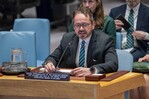 La ONU destaca avances electorales en Haití, pero alerta del poder creciente de las bandas La ONU destaca avances electorales en Haití, pero alerta del poder creciente de las bandas