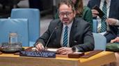 La ONU destaca avances electorales en Haití, pero alerta del poder creciente de las bandas