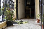 Hallan cadáveres de madre e hijo en avanzado estado de descomposición en apartamento  en Bella Vista
