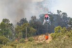 España estabiliza un grave incendio en el centro del país en otra jornada crítica
