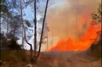 Fuego forestal afecta zona montañosa de San José de las Matas