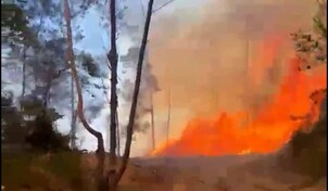 Fuego forestal afecta zona montañosa de San José de las Matas