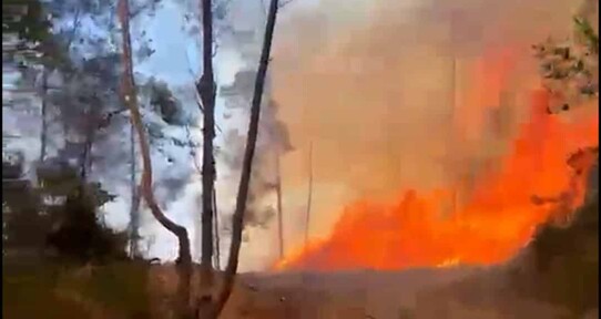 Fuego forestal afecta zona montañosa de San José de las Matas