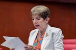 El debate y los argumentos de los senadores antes de aprobar el Código Penal El debate y los argumentos de los senadores antes de aprobar el Código Penal