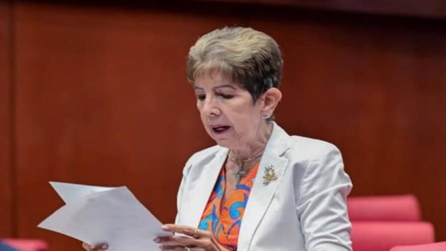 El debate y los argumentos de los senadores antes de aprobar el Código Penal El debate y los argumentos de los senadores antes de aprobar el Código Penal
